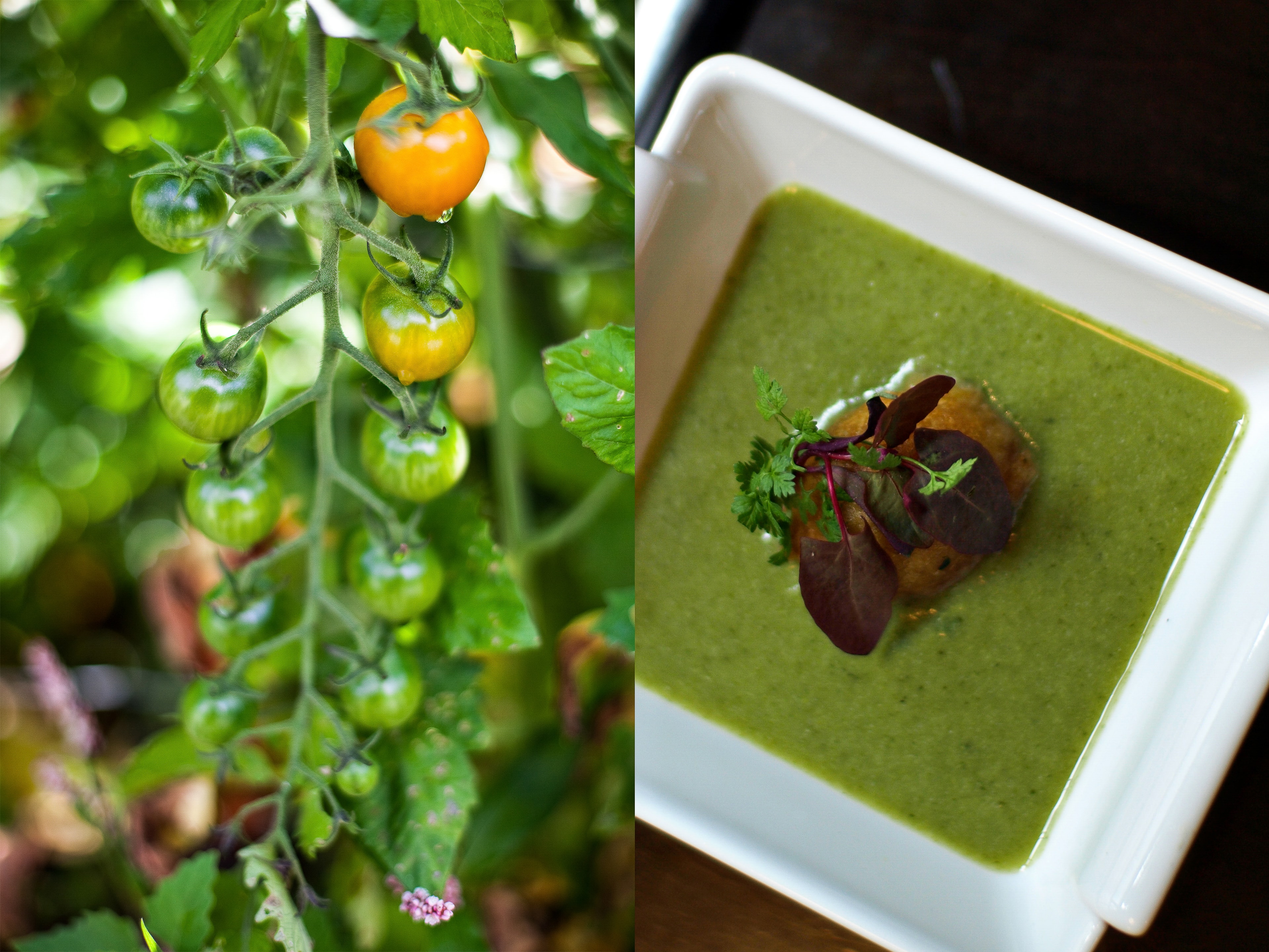 Cherry Tomatoes and Green Soup — Food photography by Spice & Ink