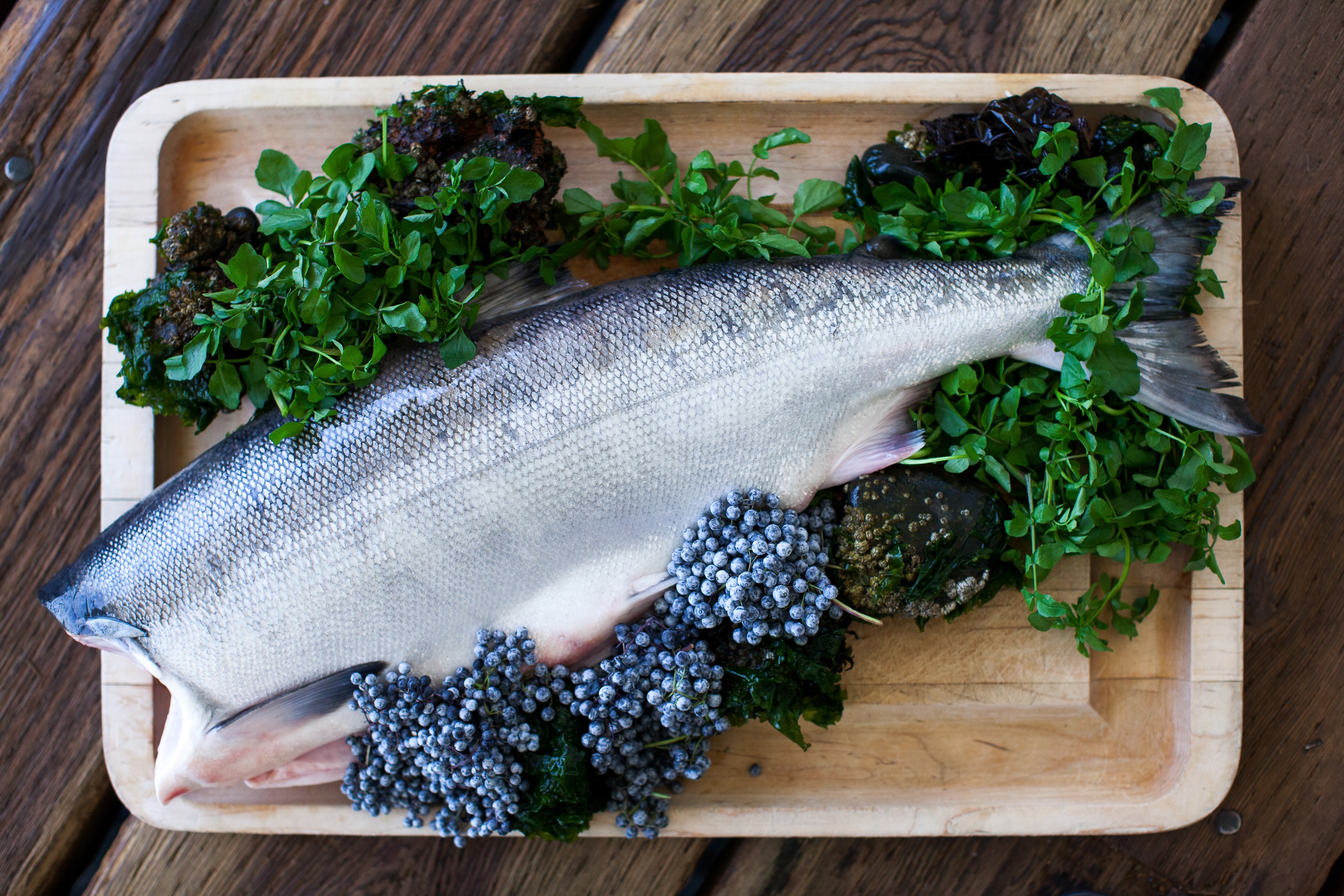 Fresh Salmon with Caviar — Food photography by Spice & Ink