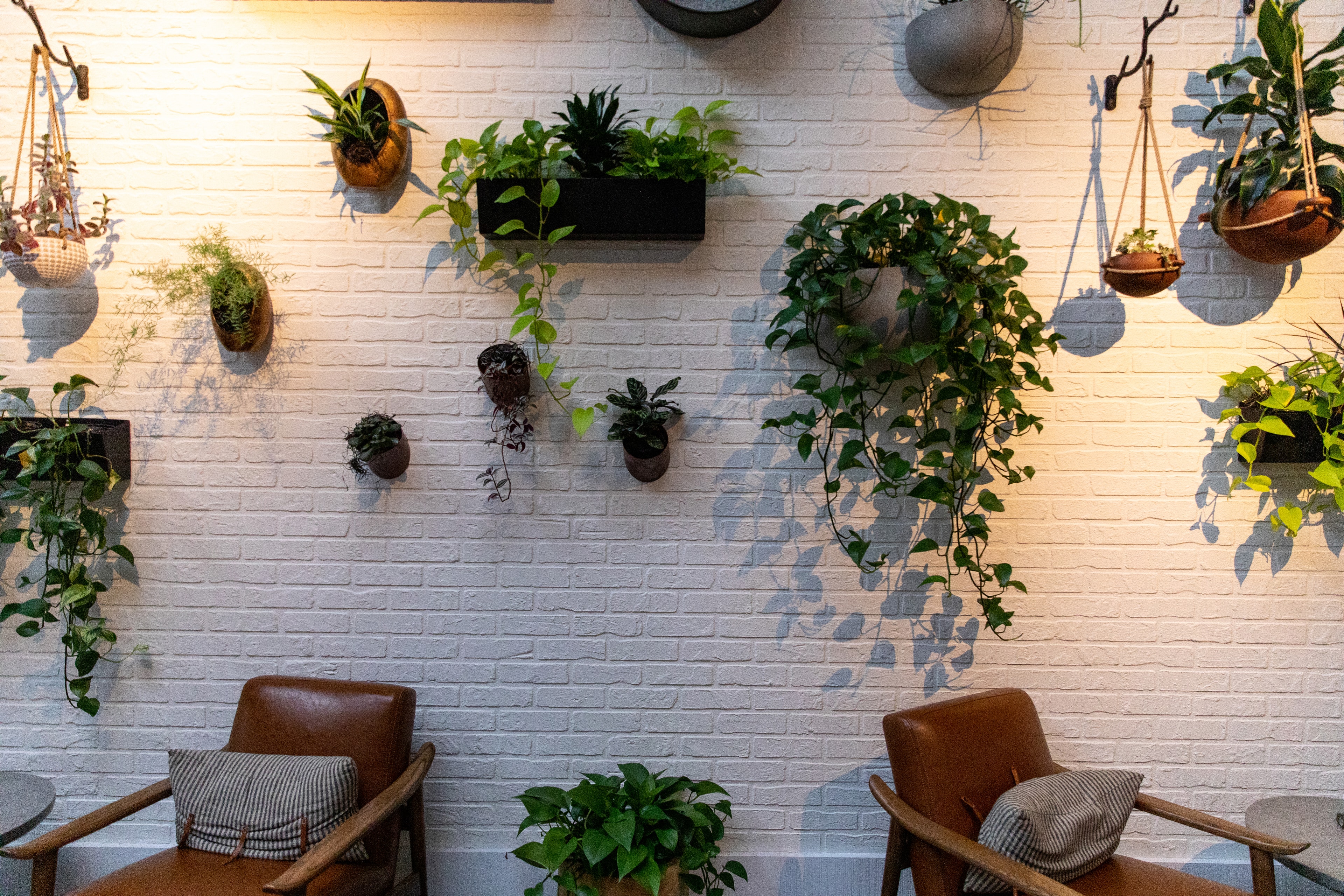 Hanging Plants on Brick Wall Interior — Spaces photography by Spice & Ink