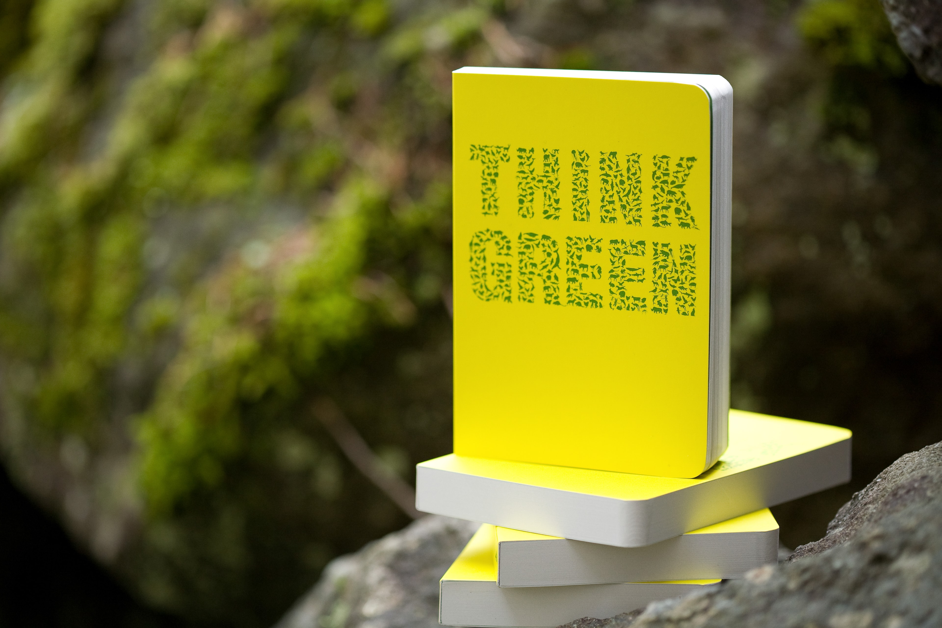 Think Green Book — Products photography by Spice & Ink
