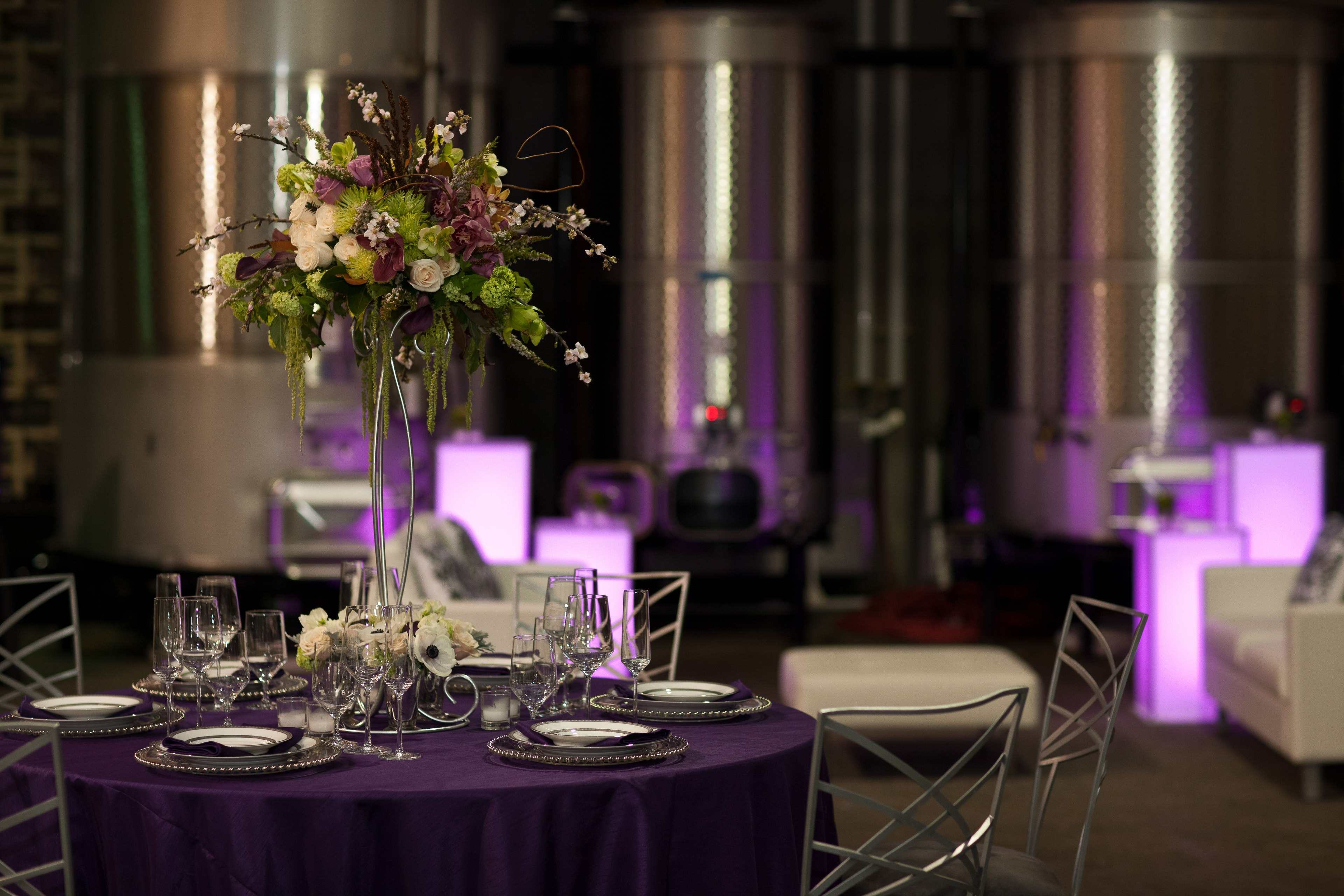 Wedding Reception with Purple Lighting — Spaces photography by Spice & Ink